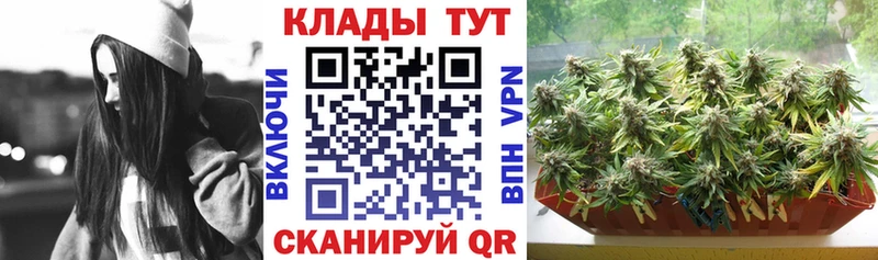 Продажа наркотиков Холм Cocaine  мега как войти  Амфетамин  Конопля  Меф 