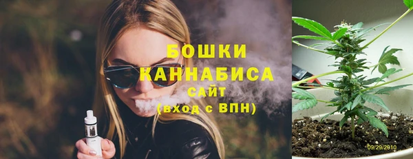 индика Баксан