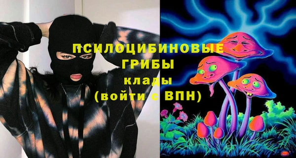 винт Арсеньев