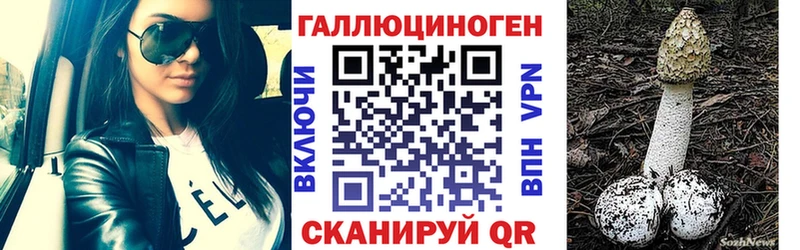 Галлюциногенные грибы прущие грибы  Холм 