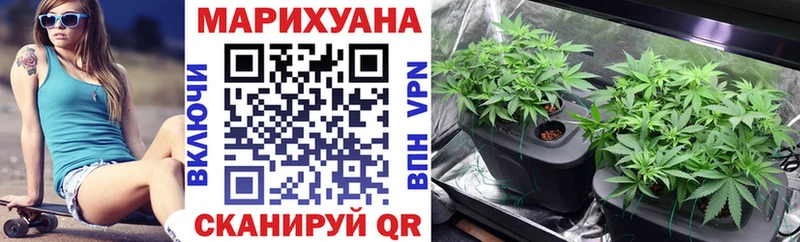 Бошки марихуана THC 21%  Холм 